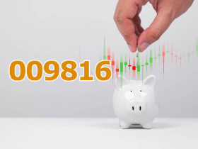 千張金融股大戶，ETF為何只買009816？半年績效61％打贏0050...本金10萬、30萬、100萬，能多賺多少錢？